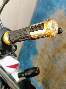MANOPLA ESCAMA (1 PAR) DOURADO