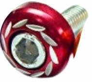 PARAFUSO E ARRUELAS PARA PLACA DE MOTO E CARRO VERMELHO