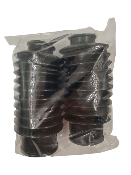 SANFONA DA BENGALA POP 100/110 10 DENTE